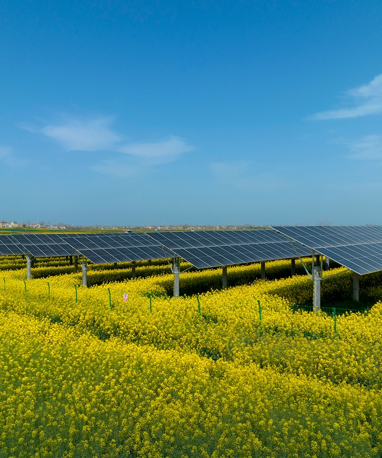 e2_banner_04_ph.jpg